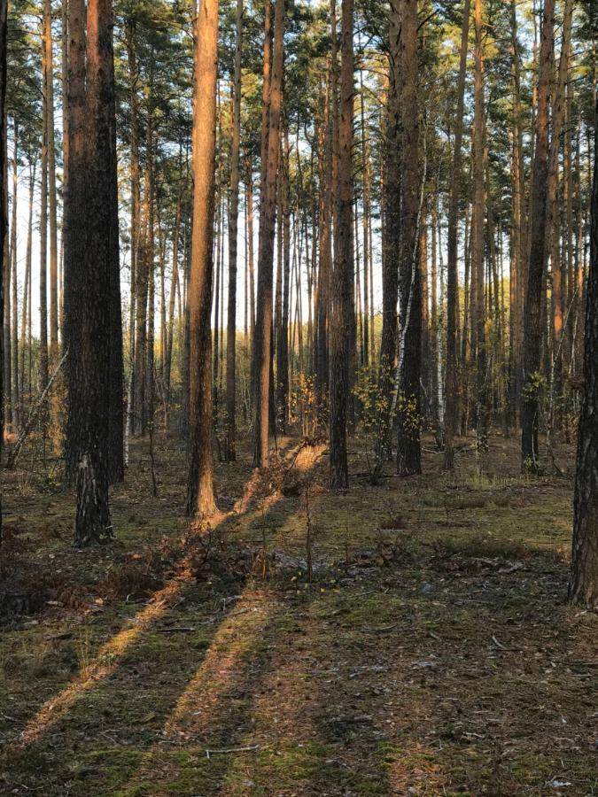 Диброва Dibrova  Exteriér fotografie