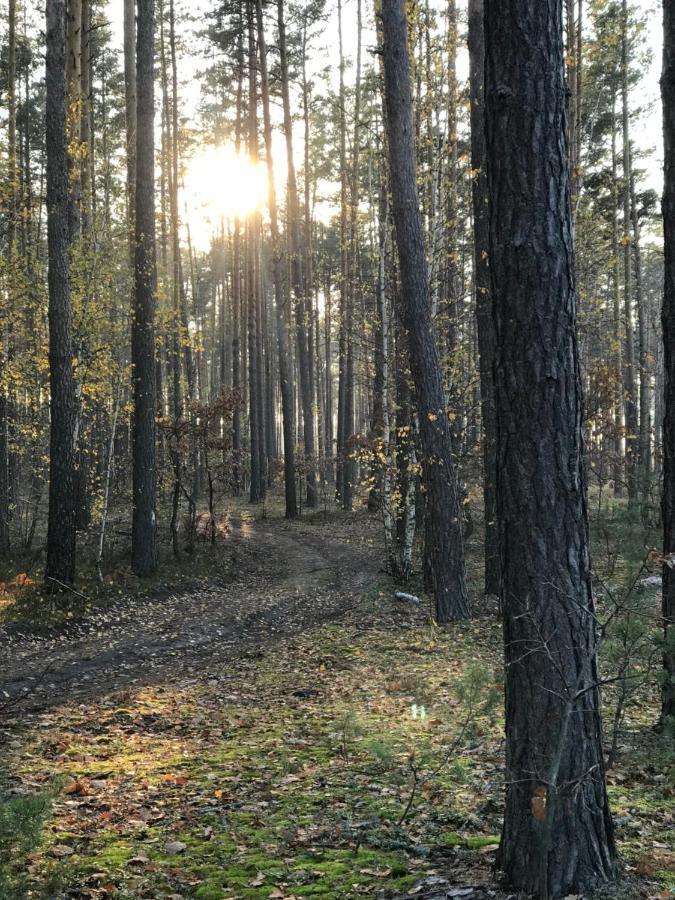 Диброва Dibrova  Exteriér fotografie